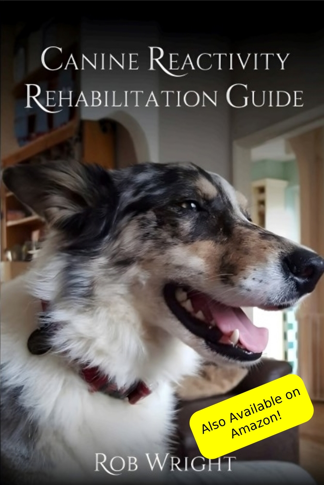 Helping Your Dog To Stay Calm